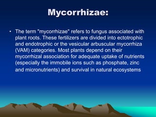 Mycorrhizae:
• The term "mycorrhizae" refers to fungus associated with
plant roots. These fertilizers are divided into ectotrophic
and endotrophic or the vesicular arbuscular mycorrhiza
(VAM) categories. Most plants depend on their
mycorrhizal association for adequate uptake of nutrients
(especially the immobile ions such as phosphate, zinc
and micronutrients) and survival in natural ecosystems
 