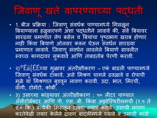 ल्जवाणू खते वािरण्याच्या िद्धती
• 1. िीज प्रकिया : ल्जवाणू संवधवक िाण्यामध्ये ममसळून
बियाण्याला हळुवारिणे अिा िद्धतीने लावावे की, सवव बियावर
सारख्या प्रमाणात लेि िसेल व बियांचा िृष्ठभाग खराि होणार
नाही ककं वा बियाणे ओलसर करून घेऊन संवधवन सारख्या
प्रमाणात लावावे. ल्जवाणू संवधवन लावलेले बियाणे सावलीत
स्वच्छ कागदावर सुकवावे आणण तािडतोि िेरणी करावी.
• २)®Éä{ÉÉच्या मुळावर अंतरीक्षीकरण – एक
ं िाढली िाण्यामध्ये
ल्जवाणू संवधवक टाकावे. असे ममश्रण चागले ढवळावे व रोिाची
मुळे या ममश्रणात िुडवून लावण करावी. उदा. भात, ममरची,
वांगी, टोमॅटो, कोिी.
• ३) उसाच्या कांड्यावर अंतरीक्षीकरण : ५० लीटर िाण्यात
अँसीटोिॅक्टर आणण िी. एस. िी. ककं वा अझोल्स्िरीलमची (१.५ ते
२.० कक.) प्रत्येकी ममसळून द्रावण तयार करावे. उसाची लागण
करतेवेळी तयार क
े लेले द्रावण िादलीमध्ये घ्यावे व उसाची कांडी
 