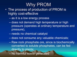 Why PROM
• The process of production of PROM is
highly cost-effective
– as it is a low energy process
– does not demand high temperature or high
pressure (operates at ordinary temperature and
pressure),
– needs no chemical catalyst
– does not consume any valuable chemicals;
– Raw rock phosphate ore, since is biochemically
converted to soluble phosphates, can be fed
directly to plants;
– No harmful waste generated
 