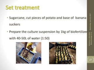 • Sugarcane, cut pieces of potato and base of banana
suckers
• Prepare the culture suspension by 1kg of biofertilizer
with 40-50L of water (1:50)
Wednesday,June14,2017
AdvancesinMicrobial
Biotechnology(1+1)
27
 