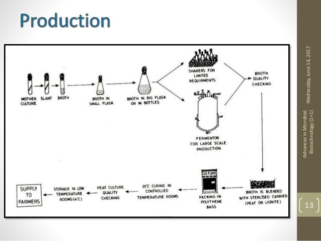 Biofertilizers production and their applications