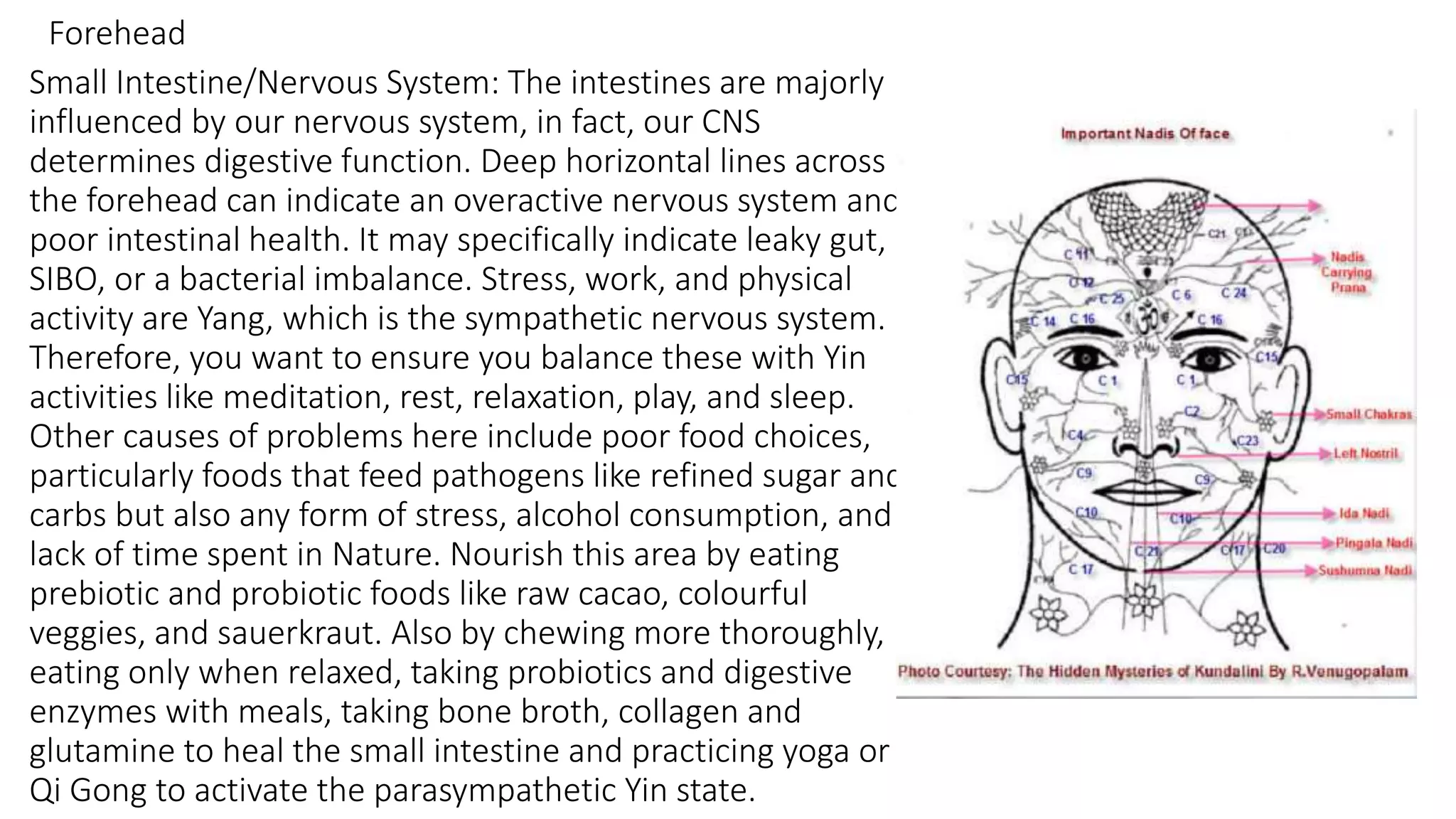Small Intestine/Nervous System: The intestines are majorly
influenced by our nervous system, in fact, our CNS
determines digestive function. Deep horizontal lines across
the forehead can indicate an overactive nervous system and
poor intestinal health. It may specifically indicate leaky gut,
SIBO, or a bacterial imbalance. Stress, work, and physical
activity are Yang, which is the sympathetic nervous system.
Therefore, you want to ensure you balance these with Yin
activities like meditation, rest, relaxation, play, and sleep.
Other causes of problems here include poor food choices,
particularly foods that feed pathogens like refined sugar and
carbs but also any form of stress, alcohol consumption, and
lack of time spent in Nature. Nourish this area by eating
prebiotic and probiotic foods like raw cacao, colourful
veggies, and sauerkraut. Also by chewing more thoroughly,
eating only when relaxed, taking probiotics and digestive
enzymes with meals, taking bone broth, collagen and
glutamine to heal the small intestine and practicing yoga or
Qi Gong to activate the parasympathetic Yin state.
Forehead
 