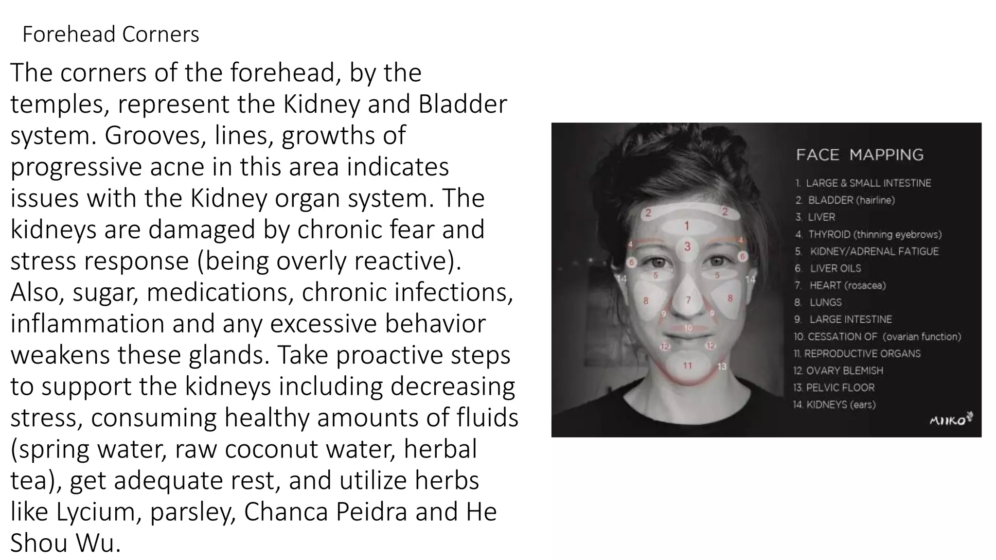 The corners of the forehead, by the
temples, represent the Kidney and Bladder
system. Grooves, lines, growths of
progressive acne in this area indicates
issues with the Kidney organ system. The
kidneys are damaged by chronic fear and
stress response (being overly reactive).
Also, sugar, medications, chronic infections,
inflammation and any excessive behavior
weakens these glands. Take proactive steps
to support the kidneys including decreasing
stress, consuming healthy amounts of fluids
(spring water, raw coconut water, herbal
tea), get adequate rest, and utilize herbs
like Lycium, parsley, Chanca Peidra and He
Shou Wu.
Forehead Corners
 