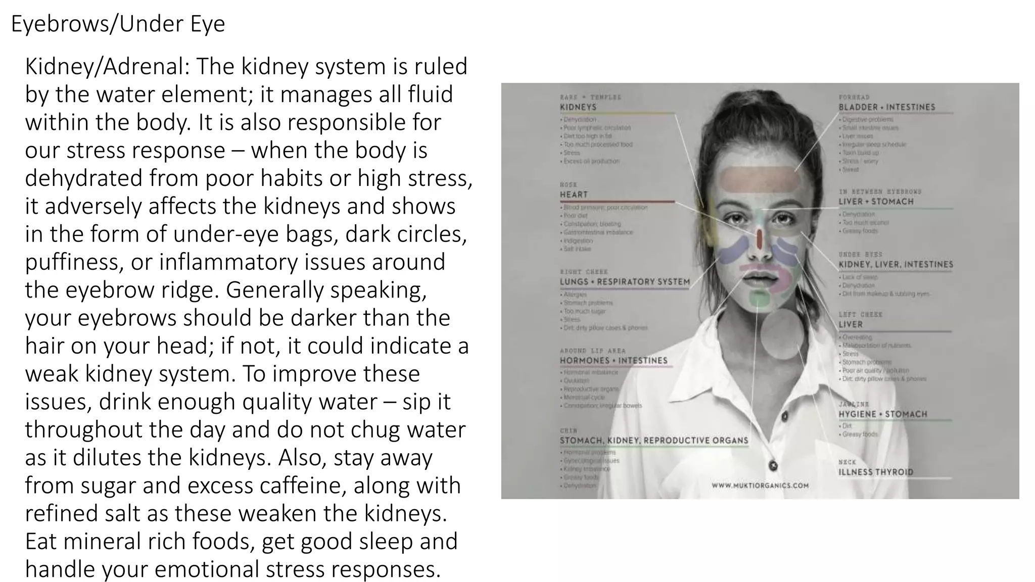 Kidney/Adrenal: The kidney system is ruled
by the water element; it manages all fluid
within the body. It is also responsible for
our stress response – when the body is
dehydrated from poor habits or high stress,
it adversely affects the kidneys and shows
in the form of under-eye bags, dark circles,
puffiness, or inflammatory issues around
the eyebrow ridge. Generally speaking,
your eyebrows should be darker than the
hair on your head; if not, it could indicate a
weak kidney system. To improve these
issues, drink enough quality water – sip it
throughout the day and do not chug water
as it dilutes the kidneys. Also, stay away
from sugar and excess caffeine, along with
refined salt as these weaken the kidneys.
Eat mineral rich foods, get good sleep and
handle your emotional stress responses.
Eyebrows/Under Eye
 