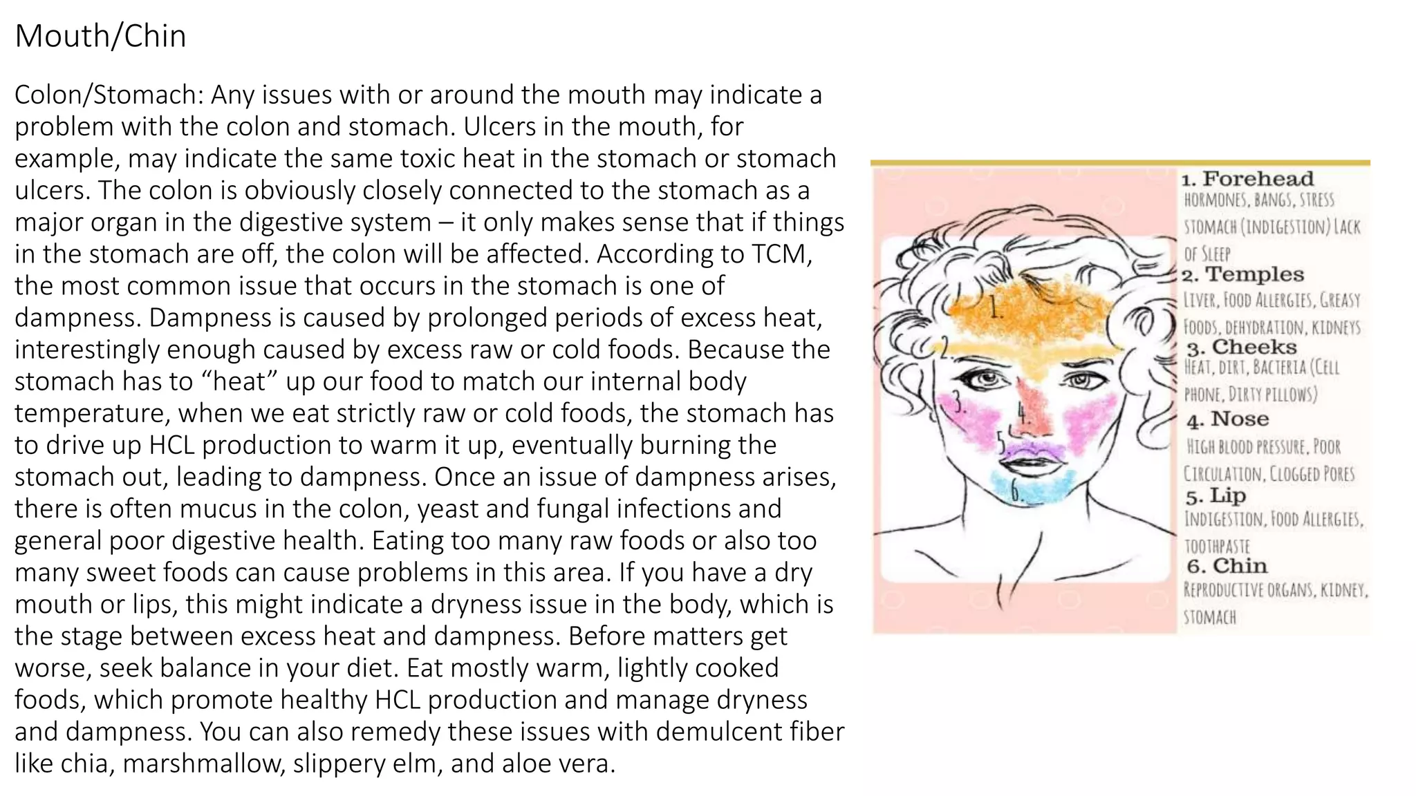 Colon/Stomach: Any issues with or around the mouth may indicate a
problem with the colon and stomach. Ulcers in the mouth, for
example, may indicate the same toxic heat in the stomach or stomach
ulcers. The colon is obviously closely connected to the stomach as a
major organ in the digestive system – it only makes sense that if things
in the stomach are off, the colon will be affected. According to TCM,
the most common issue that occurs in the stomach is one of
dampness. Dampness is caused by prolonged periods of excess heat,
interestingly enough caused by excess raw or cold foods. Because the
stomach has to “heat” up our food to match our internal body
temperature, when we eat strictly raw or cold foods, the stomach has
to drive up HCL production to warm it up, eventually burning the
stomach out, leading to dampness. Once an issue of dampness arises,
there is often mucus in the colon, yeast and fungal infections and
general poor digestive health. Eating too many raw foods or also too
many sweet foods can cause problems in this area. If you have a dry
mouth or lips, this might indicate a dryness issue in the body, which is
the stage between excess heat and dampness. Before matters get
worse, seek balance in your diet. Eat mostly warm, lightly cooked
foods, which promote healthy HCL production and manage dryness
and dampness. You can also remedy these issues with demulcent fiber
like chia, marshmallow, slippery elm, and aloe vera.
Mouth/Chin
 