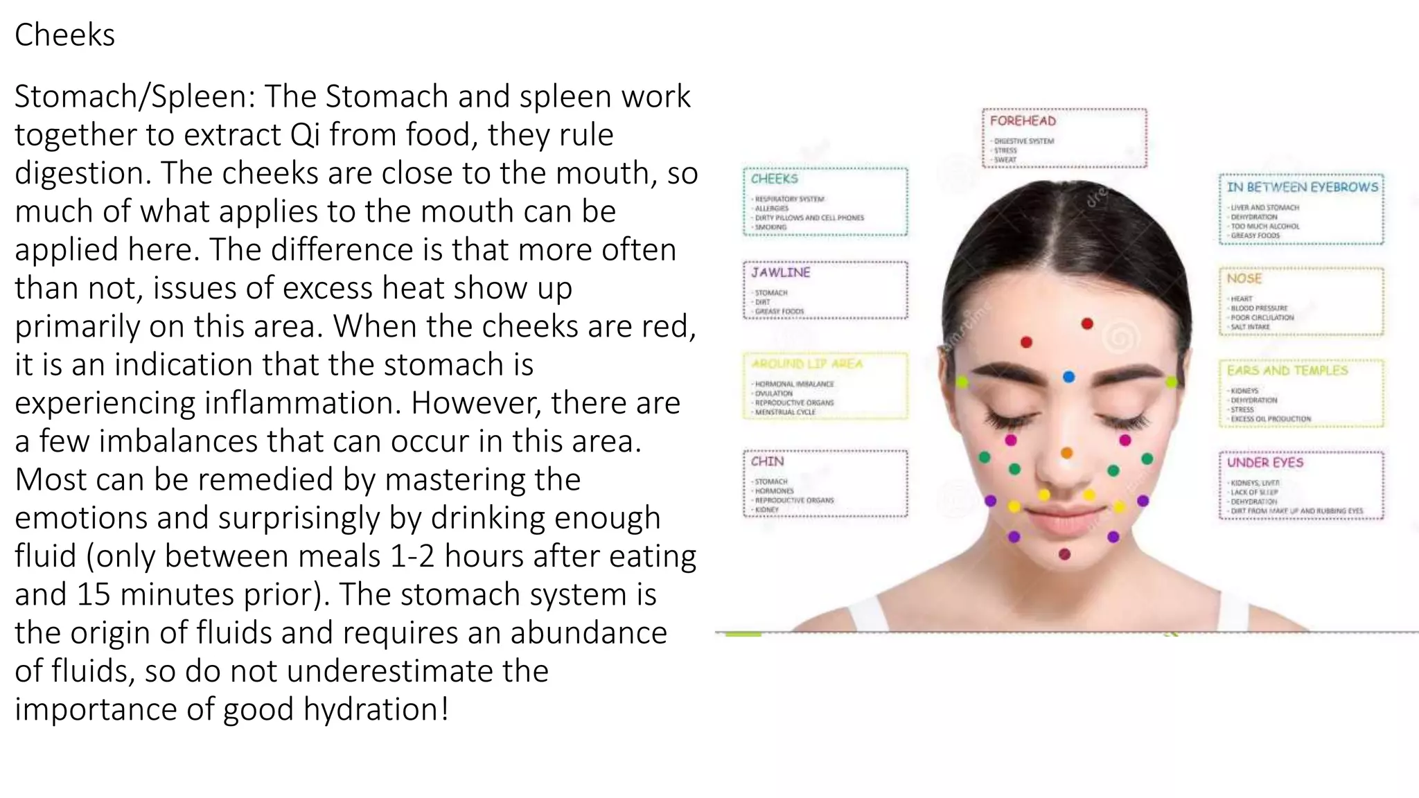 Stomach/Spleen: The Stomach and spleen work
together to extract Qi from food, they rule
digestion. The cheeks are close to the mouth, so
much of what applies to the mouth can be
applied here. The difference is that more often
than not, issues of excess heat show up
primarily on this area. When the cheeks are red,
it is an indication that the stomach is
experiencing inflammation. However, there are
a few imbalances that can occur in this area.
Most can be remedied by mastering the
emotions and surprisingly by drinking enough
fluid (only between meals 1-2 hours after eating
and 15 minutes prior). The stomach system is
the origin of fluids and requires an abundance
of fluids, so do not underestimate the
importance of good hydration!
Cheeks
 