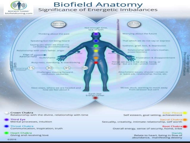 Biofield Viewer image interpretation 2016