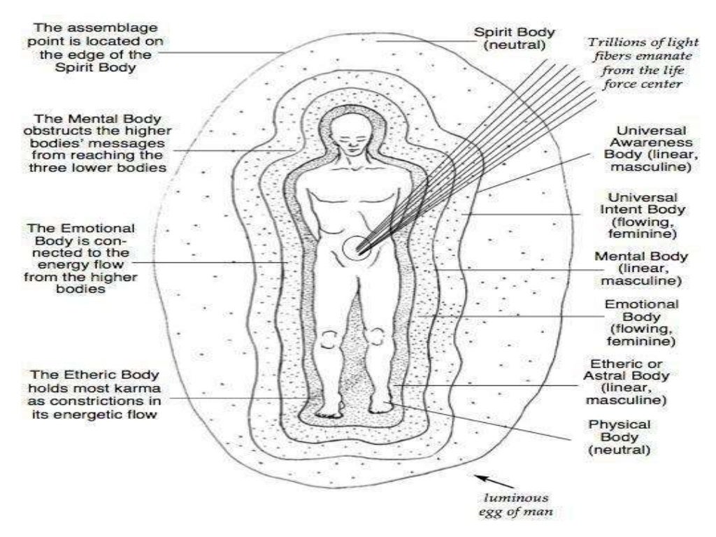 Biofield Viewer 3.3 interpretation training