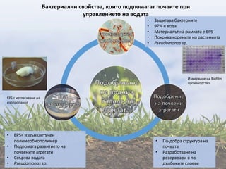 Бактериални свойства, които подпомагат почвите при
управлението на водата
• EPS= извънклетъчен
полимербиополимер
• Подпомага развитието на
почвените агрегати
• Свързва водата
• Pseudomonas sp.
• Защитава бактериите
• 97% е вода
• Материалът на рамката е EPS
• Покрива корените на растенията
• Pseudomonas sp.
• По-добра структура на
почвата
• Разработване на
резервоари в по-
дълбоките слоеве
EPS с изтласкване на
изопропанол
Измерване на Biofilm
производство
 