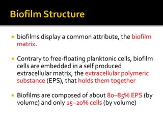  biofilms display a common attribute, the biofilm
matrix.
 Contrary to free-floating planktonic cells, biofilm
cells are embedded in a self produced
extracellular matrix, the extracellular polymeric
substance (EPS), that holds them together
 Biofilms are composed of about 80–85% EPS (by
volume) and only 15–20% cells (by volume)
 