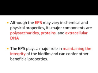  Although the EPS may vary in chemical and
physical properties, its major components are
polysaccharides, proteins, and extracellular
DNA
 The EPS plays a major role in maintaining the
integrity of the biofilm and can confer other
beneficial properties.
 