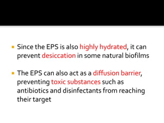  Since the EPS is also highly hydrated, it can
prevent desiccation in some natural biofilms
 The EPS can also act as a diffusion barrier,
preventing toxic substances such as
antibiotics and disinfectants from reaching
their target
 