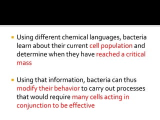  Using different chemical languages, bacteria
learn about their current cell population and
determine when they have reached a critical
mass
 Using that information, bacteria can thus
modify their behavior to carry out processes
that would require many cells acting in
conjunction to be effective
 