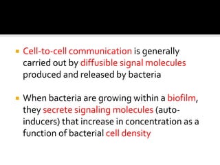  Cell-to-cell communication is generally
carried out by diffusible signal molecules
produced and released by bacteria
 When bacteria are growing within a biofilm,
they secrete signaling molecules (auto-
inducers) that increase in concentration as a
function of bacterial cell density
 