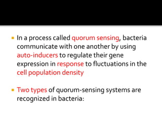  In a process called quorum sensing, bacteria
communicate with one another by using
auto-inducers to regulate their gene
expression in response to fluctuations in the
cell population density
 Two types of quorum-sensing systems are
recognized in bacteria:
 