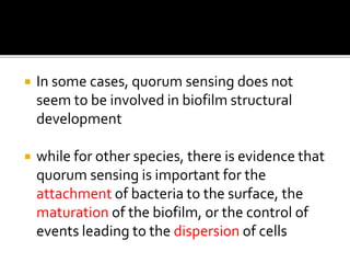  In some cases, quorum sensing does not
seem to be involved in biofilm structural
development
 while for other species, there is evidence that
quorum sensing is important for the
attachment of bacteria to the surface, the
maturation of the biofilm, or the control of
events leading to the dispersion of cells
 