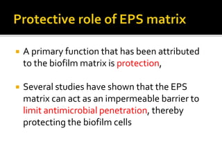 A primary function that has been attributed
to the biofilm matrix is protection,
 Several studies have shown that the EPS
matrix can act as an impermeable barrier to
limit antimicrobial penetration, thereby
protecting the biofilm cells
 