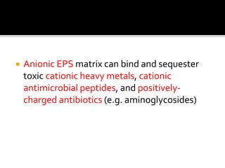  Anionic EPS matrix can bind and sequester
toxic cationic heavy metals, cationic
antimicrobial peptides, and positively-
charged antibiotics (e.g. aminoglycosides)
 