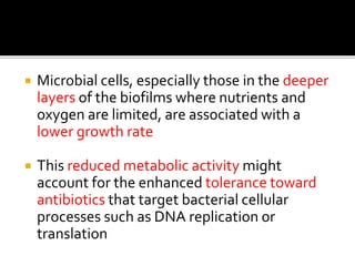  Microbial cells, especially those in the deeper
layers of the biofilms where nutrients and
oxygen are limited, are associated with a
lower growth rate
 This reduced metabolic activity might
account for the enhanced tolerance toward
antibiotics that target bacterial cellular
processes such as DNA replication or
translation
 