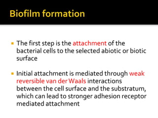  The first step is the attachment of the
bacterial cells to the selected abiotic or biotic
surface
 Initial attachment is mediated through weak
reversible van derWaals interactions
between the cell surface and the substratum,
which can lead to stronger adhesion receptor
mediated attachment
 