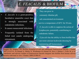 E. FEACALIS & BIOFILM
• E. faecalis is a gram-positive,
facultative anaerobic cocci that
is strongly associated with
endodontic infections.
• It causes nosocomial infections
• Frequently isolated from the
failed root canals undergoing
retreatment.
Duggan JM, Sedgley CM. Biofilm formation of oral and endodontic Enterococcus faecalis. J Endod.
2007;33:815-8. Al-Ahmad A, Muller N, Wiedmann-Al-Ahmad M, Sava I, Hubner J, Follo M, et al.
Endodontic and salivary isolates of Enterococcus faecalis integrate into biofilm from human salivary
bacteria cultivated in vitro. J Endod. 2009;35:986-91.
• They can grow in
- extremely Alkaline pH,
- salt concentrated environment
- survive a temperature of 60°C for 30 min.
• E. faecalis is able to suppress the action of
lymphocytes, potentially contributing to
endodontic failure.
• E.faecalis has the ability to form biofilm that
can resist calcium hydroxide dressing by
maintaining pH homeostasis.
 