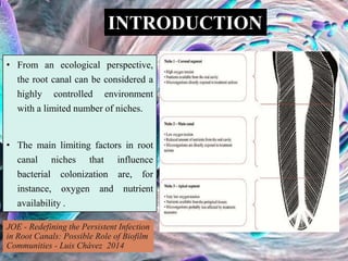• From an ecological perspective,
the root canal can be considered a
highly controlled environment
with a limited number of niches.
• The main limiting factors in root
canal niches that influence
bacterial colonization are, for
instance, oxygen and nutrient
availability .
INTRODUCTION
JOE - Redefining the Persistent Infection
in Root Canals: Possible Role of Biofilm
Communities - Luis Chávez 2014
 