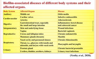 Biofilm-associated diseases of different body systems and their
affected organs.
(Vestby et al., 2020).
Body System Affected Organs Disease
Auditory Middle ear Otitis media
Cardiovascular
Cardiac valves Infective endocarditis
Arteries Atherosclerosis
Digestive
Gastrointestinal tract, especially
the small and large intestine
Inflammatory bowel disease
and colorectal cancer
Integumentary Skin and underlying tissue Wound infections
Reproductive
Vagina Bacterial vaginosis
Uterus and fallopian tubes Chronic endometritis
Mammary glands (breasts) Mastitis
Respiratory
Nasal cavity and paranasal sinuses Chronic rhinosinusitis
Throat, i.e., pharynx with tonsils and
adenoids, and larynx with vocal cords
Pharyngitis and laryngitis
Urinary
Prostate gland Chronic bacterial prostatitis
Urethra, bladder, urethers, kidneys Urinary tract infections
Rana
H.
Al-Hichami
 
