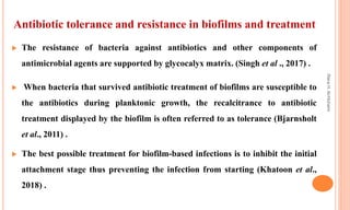  The resistance of bacteria against antibiotics and other components of
antimicrobial agents are supported by glycocalyx matrix. (Singh et al ., 2017) .
 When bacteria that survived antibiotic treatment of biofilms are susceptible to
the antibiotics during planktonic growth, the recalcitrance to antibiotic
treatment displayed by the biofilm is often referred to as tolerance (Bjarnsholt
et al., 2011) .
 The best possible treatment for biofilm-based infections is to inhibit the initial
attachment stage thus preventing the infection from starting (Khatoon et al.,
2018) .
Antibiotic tolerance and resistance in biofilms and treatment
Rana
H.
Al-Hichami
 