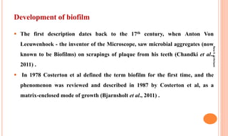 Development of biofilm
 The first description dates back to the 17th century, when Anton Von
Leeuwenhoek - the inventor of the Microscope, saw microbial aggregates (now
known to be Biofilms) on scrapings of plaque from his teeth (Chandki et al.,
2011) .
 In 1978 Costerton et al defined the term biofilm for the first time, and the
phenomenon was reviewed and described in 1987 by Costerton et al, as a
matrix-enclosed mode of growth (Bjarnsholt et al., 2011) .
Rana
H.
Al-Hichami
 