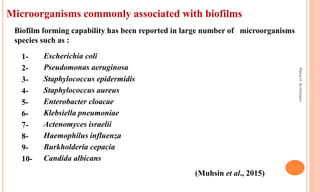 Microorganisms commonly associated with biofilms
1- Escherichia coli
2- Pseudomonas aeruginosa
3- Staphylococcus epidermidis
4- Staphylococcus aureus
5- Enterobacter cloacae
6- Klebsiella pneumoniae
7- Actenomyces israelii
8- Haemophilus influenza
9- Burkholderia cepacia
10- Candida albicans
Biofilm forming capability has been reported in large number of microorganisms
species such as :
(Muhsin et al., 2015)
Rana
H.
Al-Hichami
 