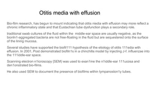 Otitis media with effusion
Bio-film research, has begun to mount indicating that otitis niedia with effusion may more reflect a
chronic inflammatory state and that Eustachian tube dysfunction plays a secondary role.
traditional swab cultures of the fluid within the middle-ear space are usually negative, as the
bionln1-aggregated bacteria are not free-floating in the fluid but are sequestered onto the surface
of the lining mucosa.
Several studies have supported the biofil111 hypothesis of the etiology of otitis 111edia with
effusion. In 2001, Post demonstrated biofiln1s in a chinchilla model by injecting J-f. influenzae into
the 111iddle-ear space.
Scanning electron n1icroscopy {SEM) was used to exan1ine the n1iddle-ear 111ucosa and
den1onstrated bio-films.
He also used SEM to document the presence of biofilms within tympanoston1y tubes.
 
