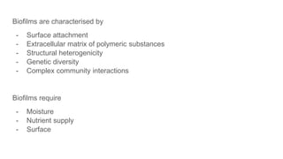Biofilms are characterised by
- Surface attachment
- Extracellular matrix of polymeric substances
- Structural heterogenicity
- Genetic diversity
- Complex community interactions
Biofilms require
- Moisture
- Nutrient supply
- Surface
 
