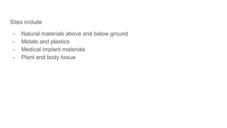 Sites include
- Natural materials above and below ground
- Metals and plastics
- Medical implant materials
- Plant and body tissue
 