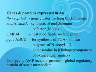 Biofilm_-_Basics___Recent_Concepts-1.pptx