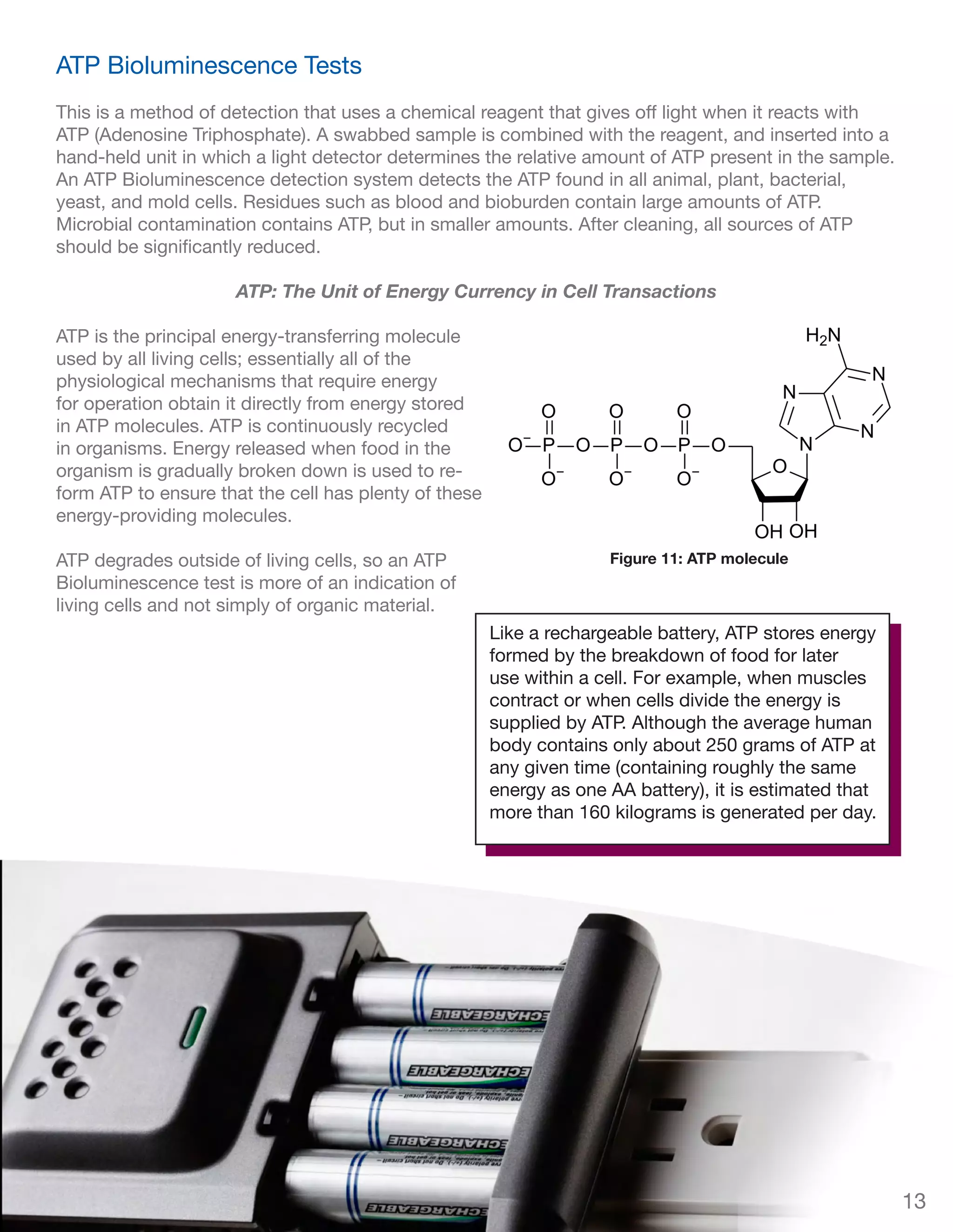 Getinge ATP Biofilm Course Booklet & Test | PDF