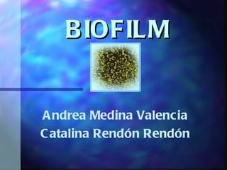 B IOFILM


A ndrea Medina Valencia
C atalina Rendón Rendón
 