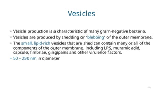 Comprehensive Insights into Biofilm and Periodontal Microbiology ...