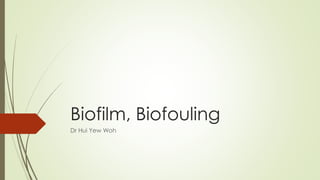 Biofilm, Biofouling
Dr Hui Yew Woh
 