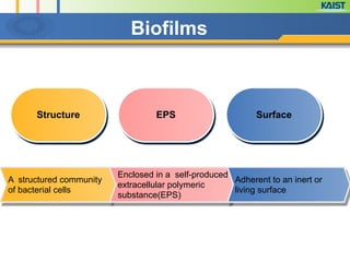 A structured community
of bacterial cells
Enclosed in a self-produced
extracellular polymeric
substance(EPS)
Structure EPS Surface
Adherent to an inert or
living surface
Biofilms
 