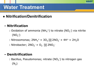 ● Nitrification/Denitrification
- Nitrification
: Oxidation of ammonia (NH4
+) to nitrate (NO3
-) via nitrite
(NO2
-)
: Nitrosomonas; 2NH4
+ + 3O2 ! 2NO2
- + 4H+ + 2H2O
: Nitrobacter; 2NO2
- + O2 ! 2NO3
-
!
- Denitrification
: Bacillus, Pseudomonas; nitrate (NO3
-) to nitrogen gas
(N2)
Water Treatment
 