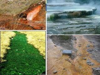 Environmental Biotechnology
 