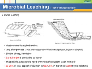 ● Dump leaching
Microbial Leaching (Technical Application)
- Most commonly applied method
- Very slow process (3-10% of the copper content leached out per year_20 years in complete)
- Simple, cheap, little labor
- 2.0-3.5 of pH is circulating by liquor
- Thiobacillus ferrooxidans need only inorganic nutrient taken from ore
- 20-25% of total copper production in USA, 5% in the whole world by bio leaching
 