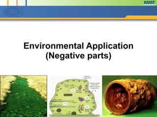 Environmental Application
(Negative parts)
 