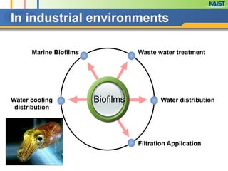 In industrial environments
Waste water treatmentMarine Biofilms
Water distribution
Filtration Application
Water cooling
distribution
Biofilms
 