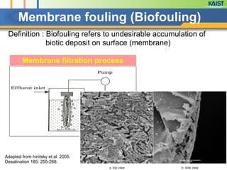 Membrane fouling (Biofouling)
Definition : Biofouling refers to undesirable accumulation of
biotic deposit on surface (membrane)
Membrane filtration process
Adapted from Ivnitsky et al. 2005.
Desalination 185: 255-268.
 