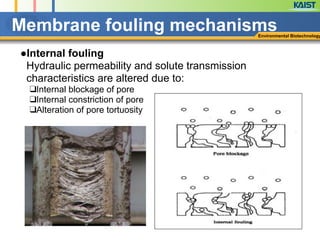 Environmental Biotechnology
Membrane fouling mechanisms
●Internal fouling
Hydraulic permeability and solute transmission
characteristics are altered due to:
❑Internal blockage of pore
❑Internal constriction of pore
❑Alteration of pore tortuosity
!
 