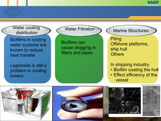Water cooling
distribution
Biofilms in cooling
water systems are
known to reduce
heat transfer
!
Legionella is still a
problem in cooling
towers.
!
Biofilms can
cause clogging in
filters and pipes.
!
!
!
Piling
Offshore platforms,
ship hull
Others
!
In shipping industry
• Biofilm coating the hull
• Effect efficiency of the
vessel
!
!
Marine StructuresWater Filtration
 