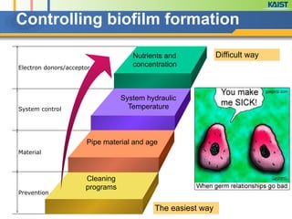 Electron donors/acceptor
System control
Material
Prevention
Controlling biofilm formation
System hydraulic
Temperature
Cleaning
programs
Nutrients and
concentration
Pipe material and age
Difficult way
The easiest way
 