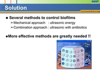 Solution
● Several methods to control biofilms
➢Mechanical approach : ultrasonic energy
➢Combination approach : ultrasonic with antibiotics
!
●More effective methods are greatly needed !!
Environmental Biotechnology
 