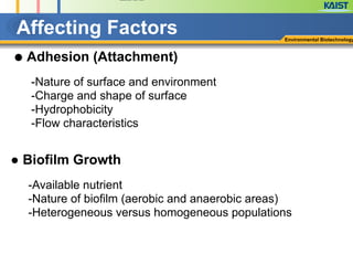 Affecting Factors Environmental Biotechnology
● Adhesion (Attachment)
!
-Nature of surface and environment
-Charge and shape of surface
-Hydrophobicity
-Flow characteristics
● Biofilm Growth
!
-Available nutrient
-Nature of biofilm (aerobic and anaerobic areas)
-Heterogeneous versus homogeneous populations
 